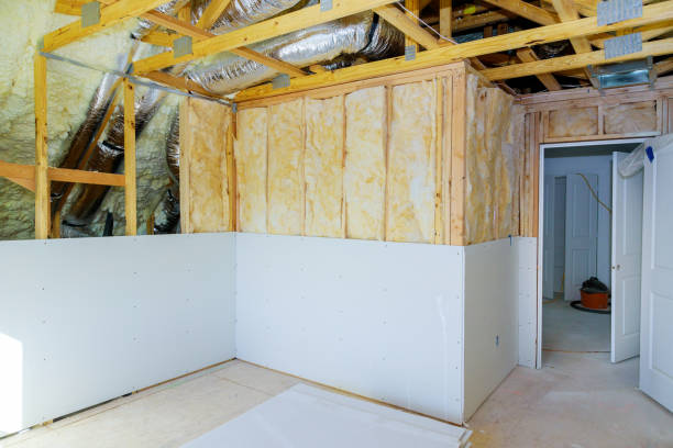 Best Cellulose Insulation in Lexington, MO