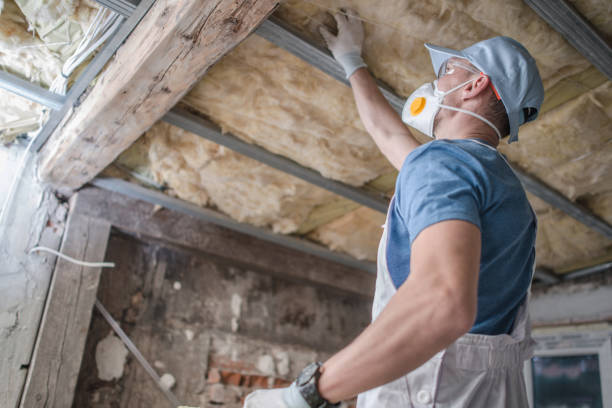 Best DIY Insulation Kits and Guidance in Lexington, MO