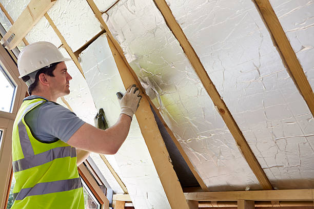 Best Eco-Friendly Insulation in Lexington, MO